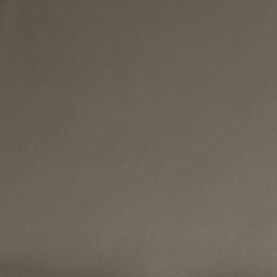 Chaise de relaxation Gris Cuir véritable