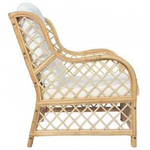 Canapé avec coussin Rotin naturel et lin