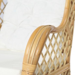 Canapé avec coussin Rotin naturel et lin