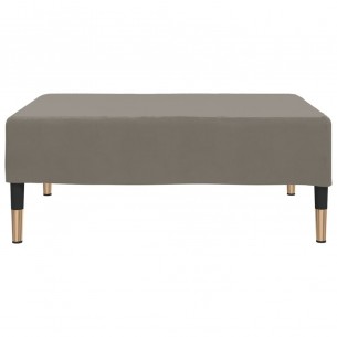 Repose-pied Gris clair 78x56x32 cm Velours