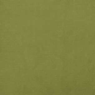 Repose-pied Vert clair 60x60x36 cm Velours