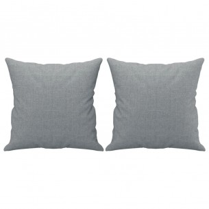 Ensemble de canapés 2 pcs coussins gris clair tissu