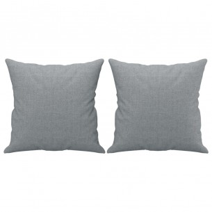 Canapé 2 places avec oreillers gris clair 120 cm tissu