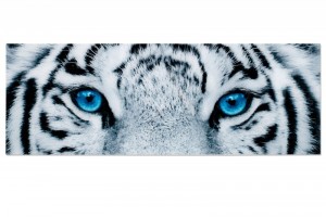 Tableau décoratif mural 140x50 cm "tigre aux yeux bleus" Tableau décoratif mural 140x50 cm "tigre aux yeux bleus"