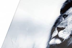 Tableau design mural 140x95 cm Roi Lion Tableau design mural 140x95 cm Roi Lion