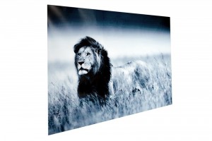 Tableau design mural 140x95 cm Roi Lion Tableau design mural 140x95 cm Roi Lion