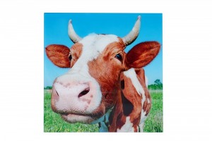 Tableau décoratif mural 80x80 cm "tête de vache multicouleur" Tableau décoratif mural 80x80 cm "tête de vache multicouleur"
