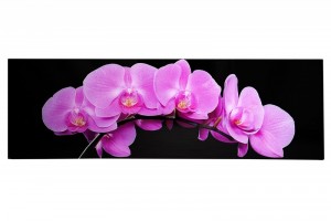 Tableau magnifique mural 140x45 cm Orchidée Fuchsia Tableau magnifique mural 140x45 cm Orchidée Fuchsia