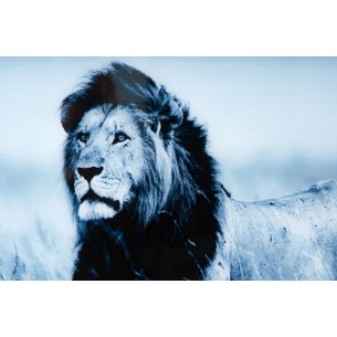 Tableau 60x80 cm design Lion bleu en verre Tableau 60x80 cm design Lion bleu en verre