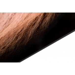 Tableau 100x60 cm design tête de Lion MUFASA Tableau 100x60 cm design tête de Lion MUFASA