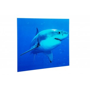 Tableau décoratif 60x80cm "Requin bleu"