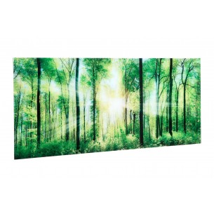 Tableau décoratif 60x80cm "Rayons du soleil entre arbres" Tableau décoratif 60x80cm "Rayons du soleil entre arbres"