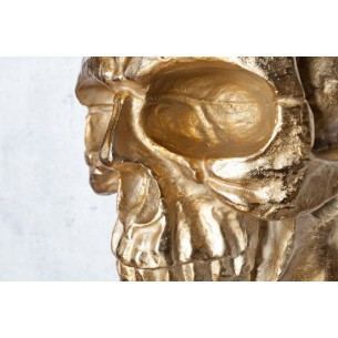 Sculpture murale design crâne humain en aluminium coloris doré